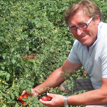 Azienda Agrituristica Baglio Carta Balestrate Eksteriør bilde