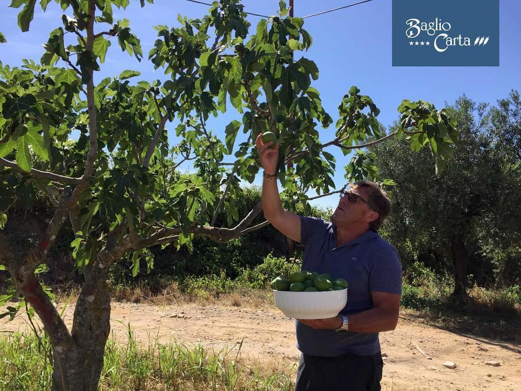 Azienda Agrituristica Baglio Carta Balestrate Eksteriør bilde